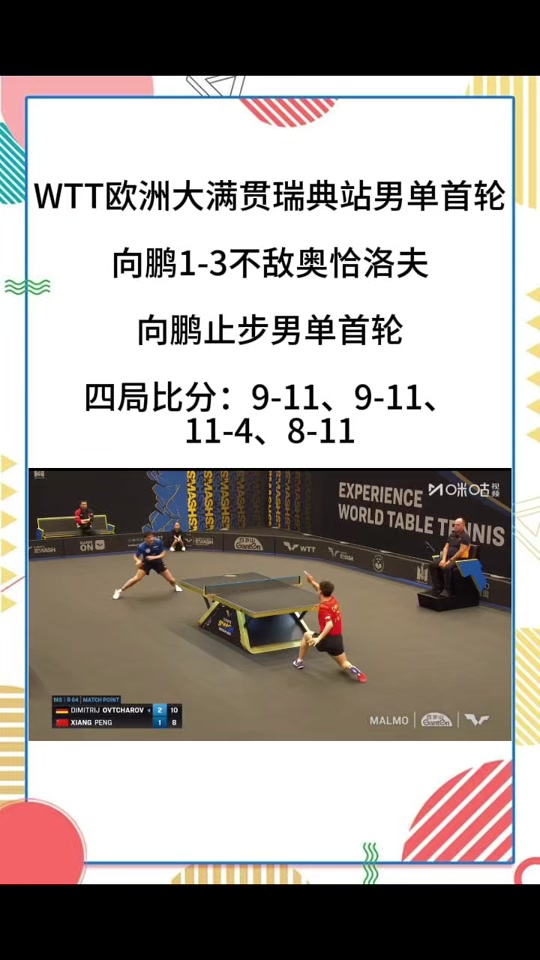爱游戏官网-瑞典乒乓球队绝杀德国乒乓球队，奥恰洛夫送出助攻