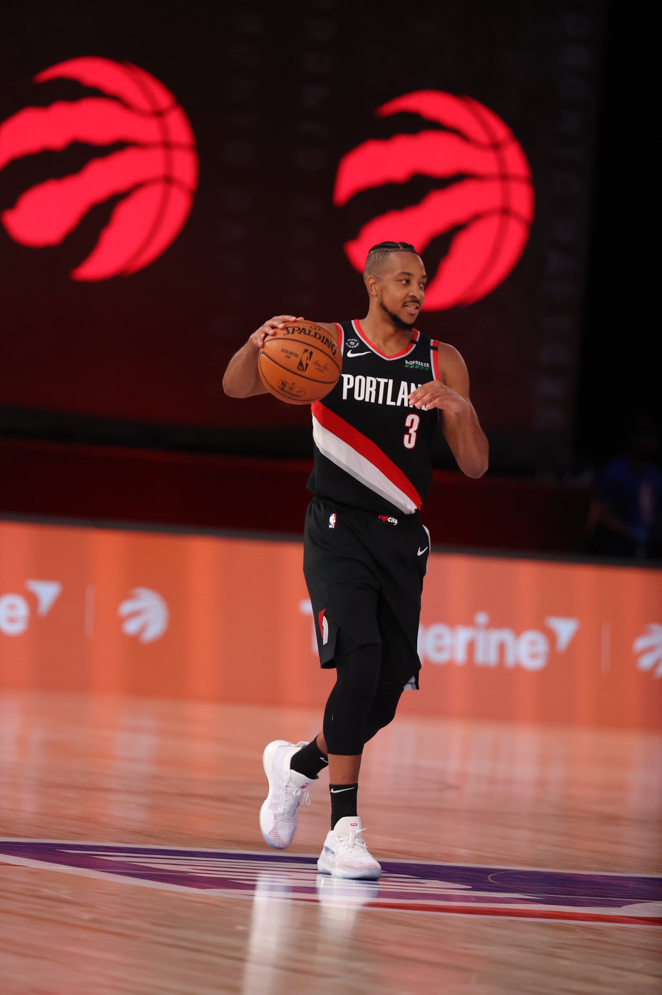 山东队横扫猛龙，麦科勒姆刷新纪录