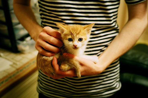 冰与火之歌，哈斯逆袭索伯之夜，汉密尔顿谱写传奇新篇