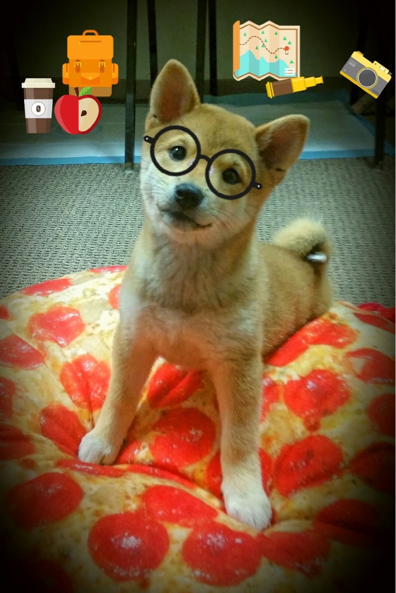 锁死·窒息·一剑封喉,维斯塔潘如何用一圈定义整个赛季