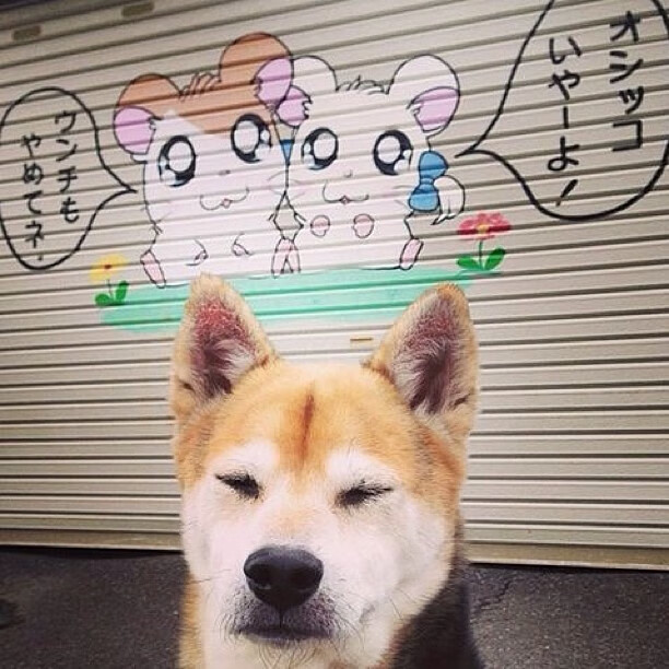 爱游戏娱乐-从0到100%末节詹皇觉醒 北京铁骑踏碎广厦防线