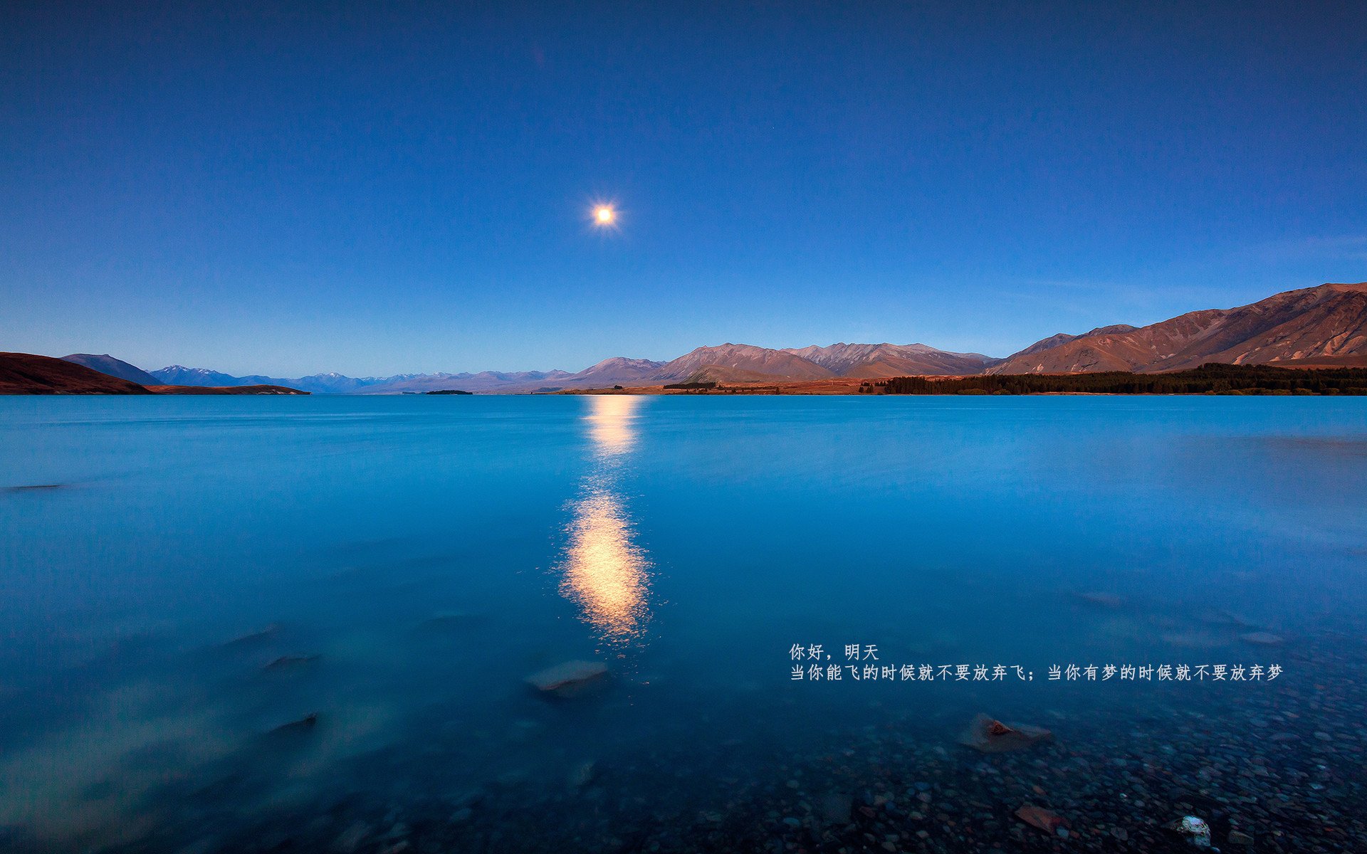 引擎咆哮与篮筐震颤，F1收官夜的锡安数据双重奏