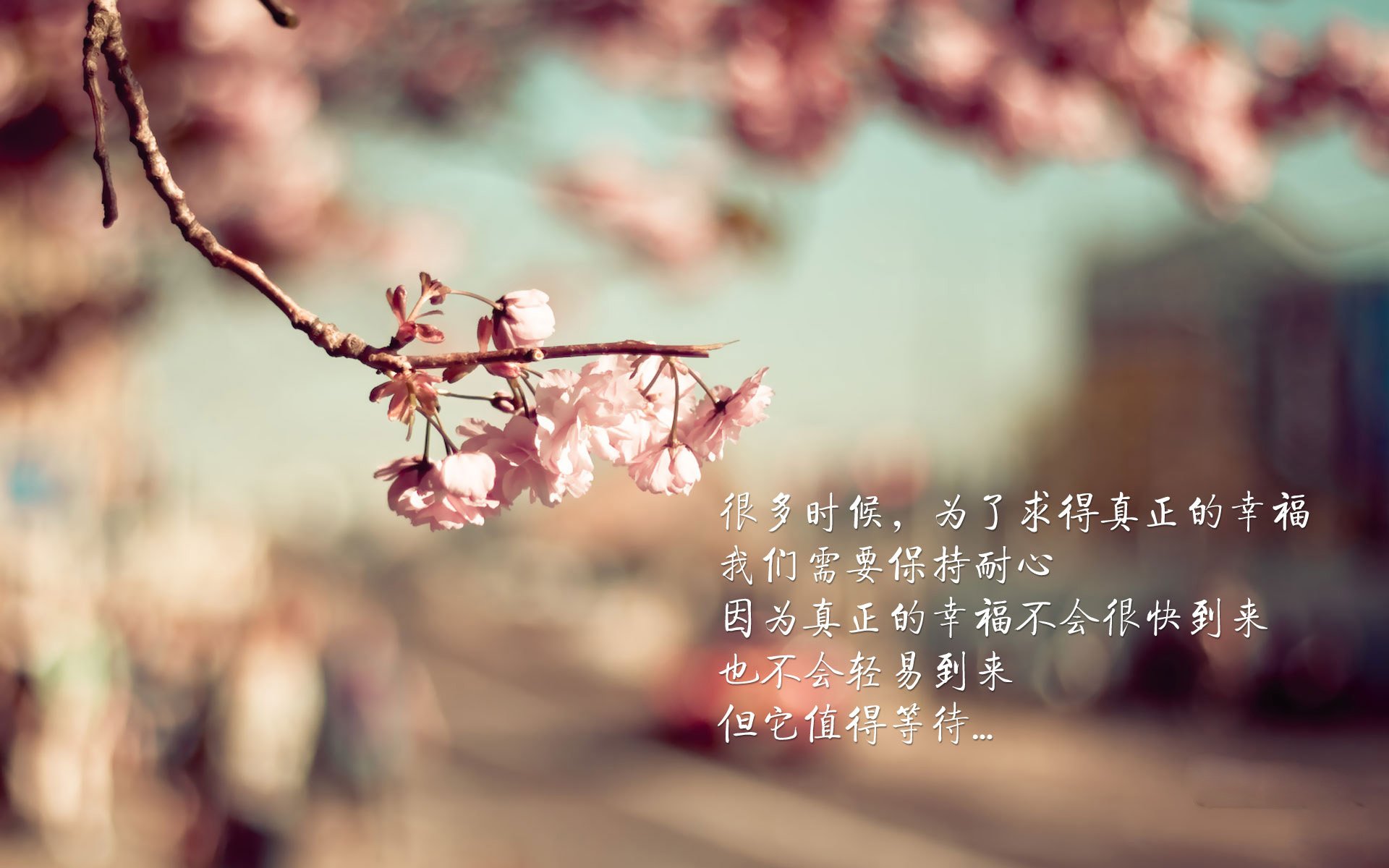 莫兰特降临五棵松，撕裂级表演背后的战术密码