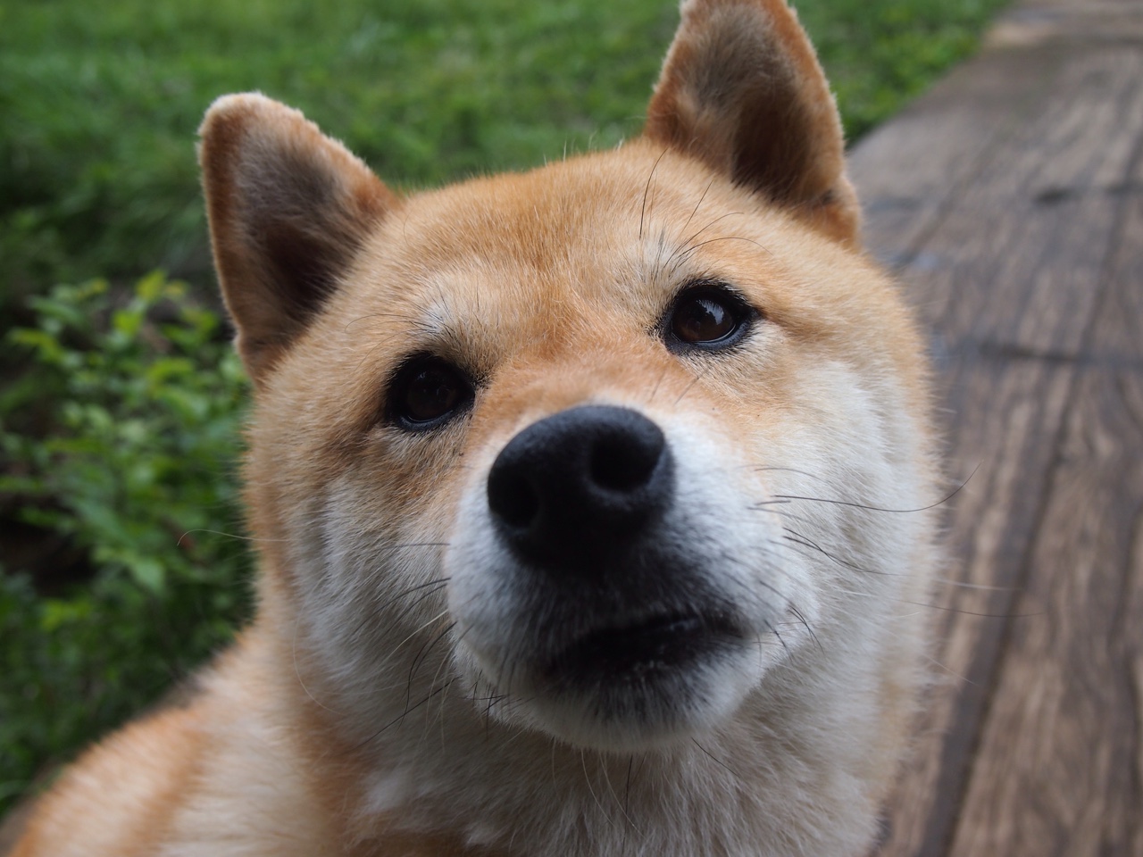 雷霆血拼尼克斯，一场定义篮球未来的年度焦点之战