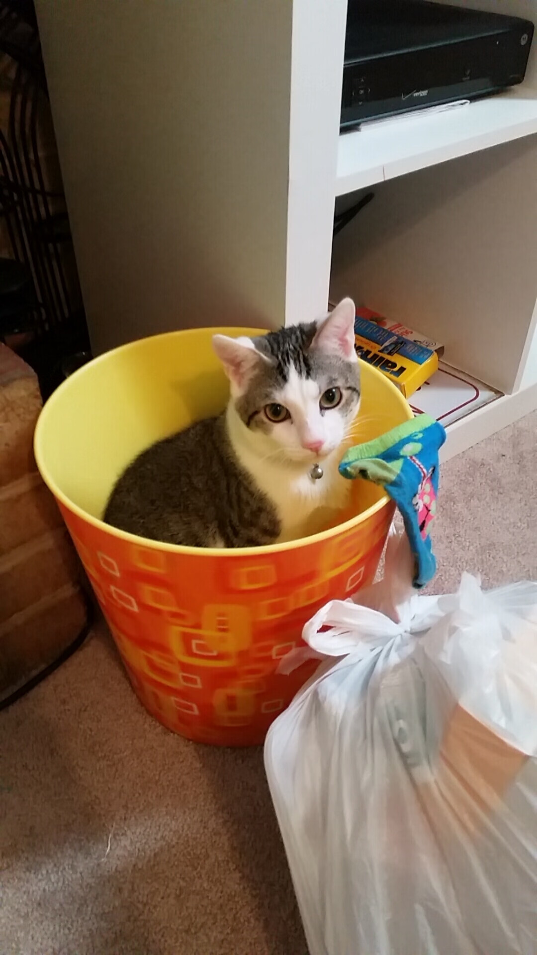 永恒瞬间，冰与火的交响，当足球绝杀遇上篮球救赎