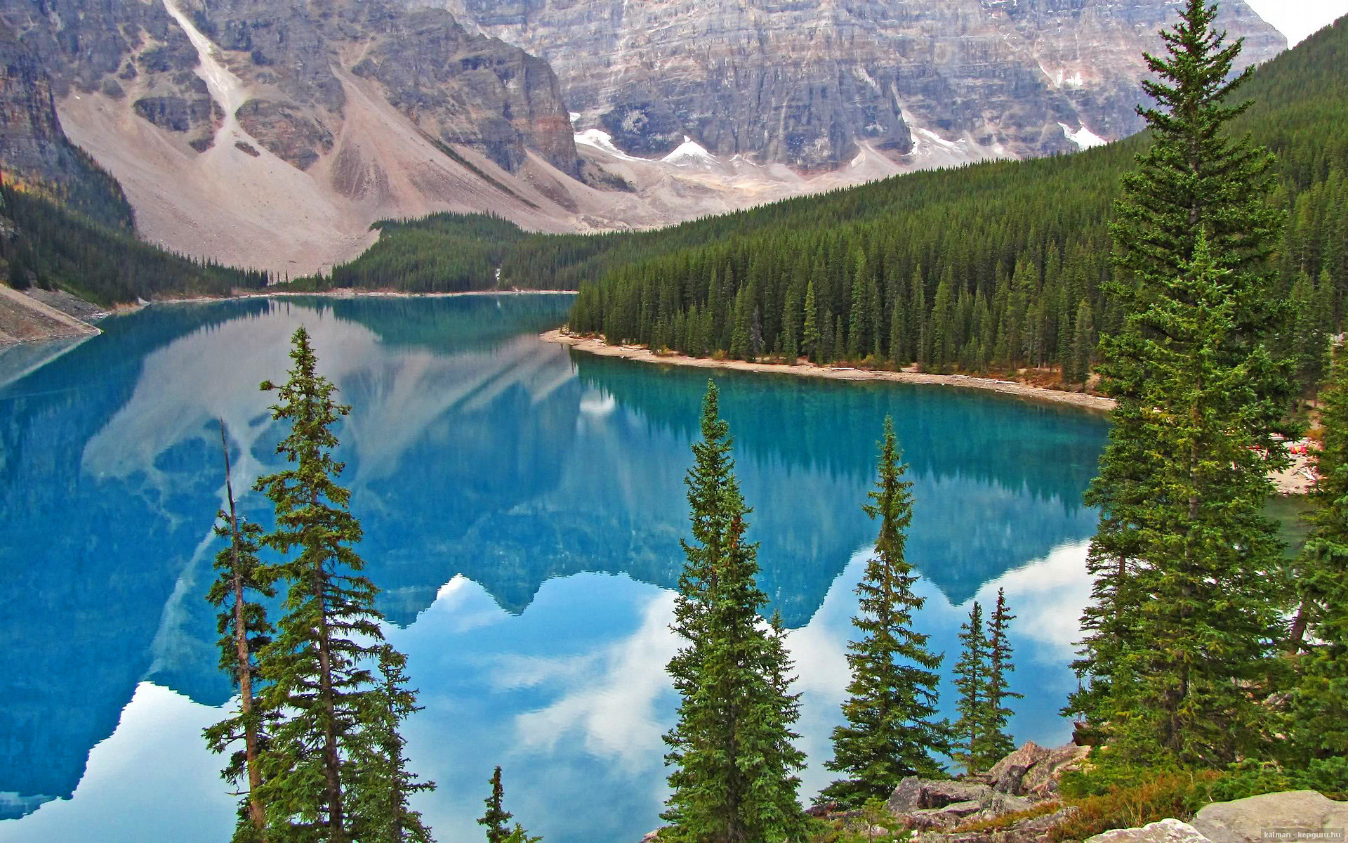 隐形斗篷与冰封时刻，布伦森的窒息缠绕与骑士的死亡循环如何封印篮网