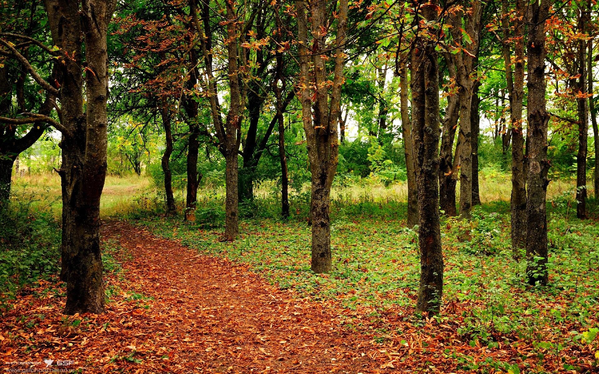 当魔术闪耀北岸花园,詹姆斯的幽灵仍在防守