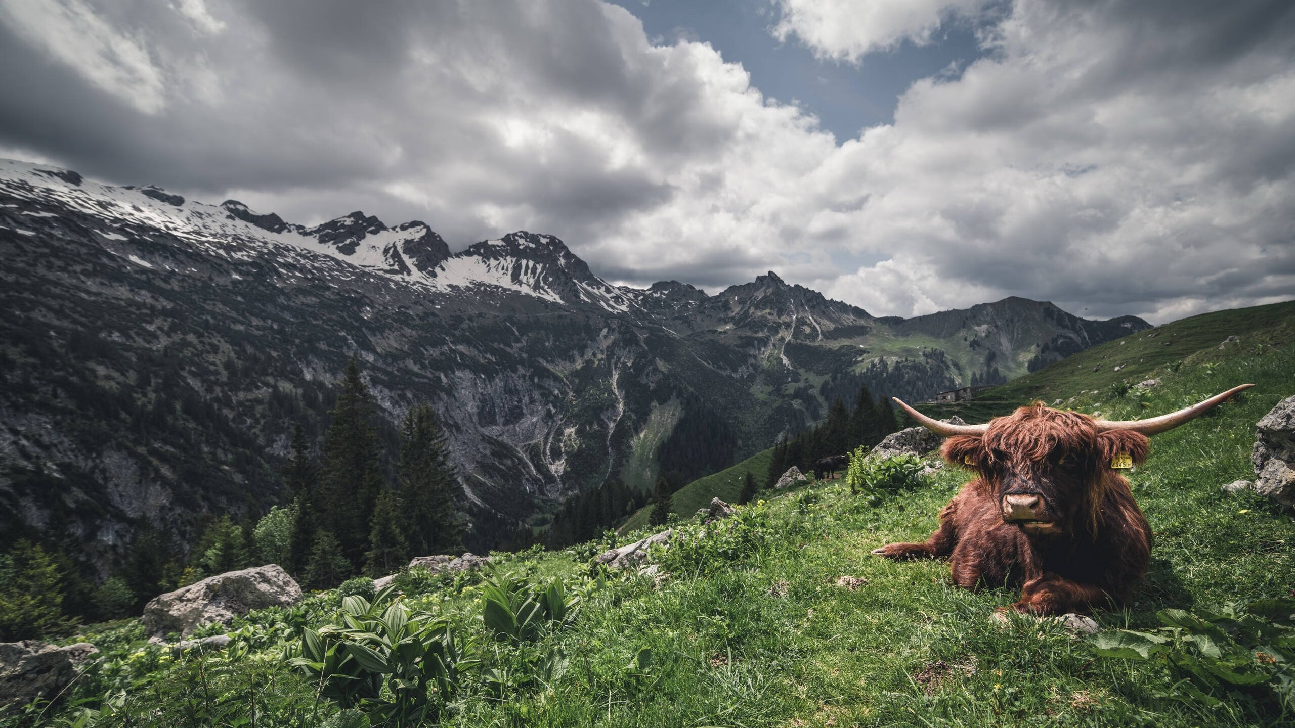 亚平宁战场，罗马狂胜那不勒斯的绿茵烽火，与奥运前哨的战略级胜利
