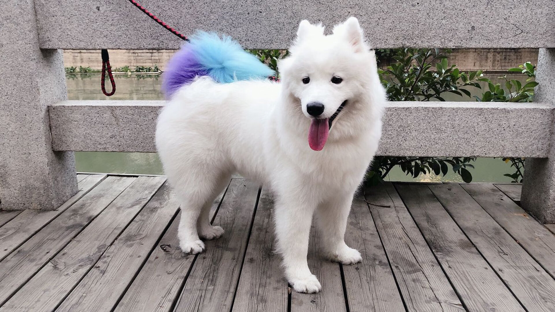 波斯铁骑加时绝杀尤文,巴尔韦德化身关键先生导演逆转奇迹