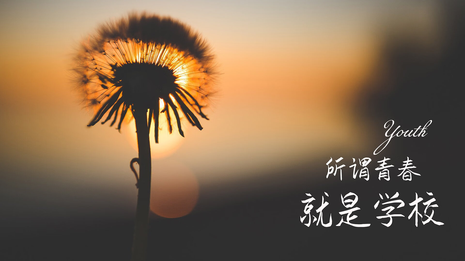 橙衣军团的铁血逆袭，2026世界杯D组荷兰绝境翻盘罗马尼亚，穆西亚拉独造三球彰显王者之气