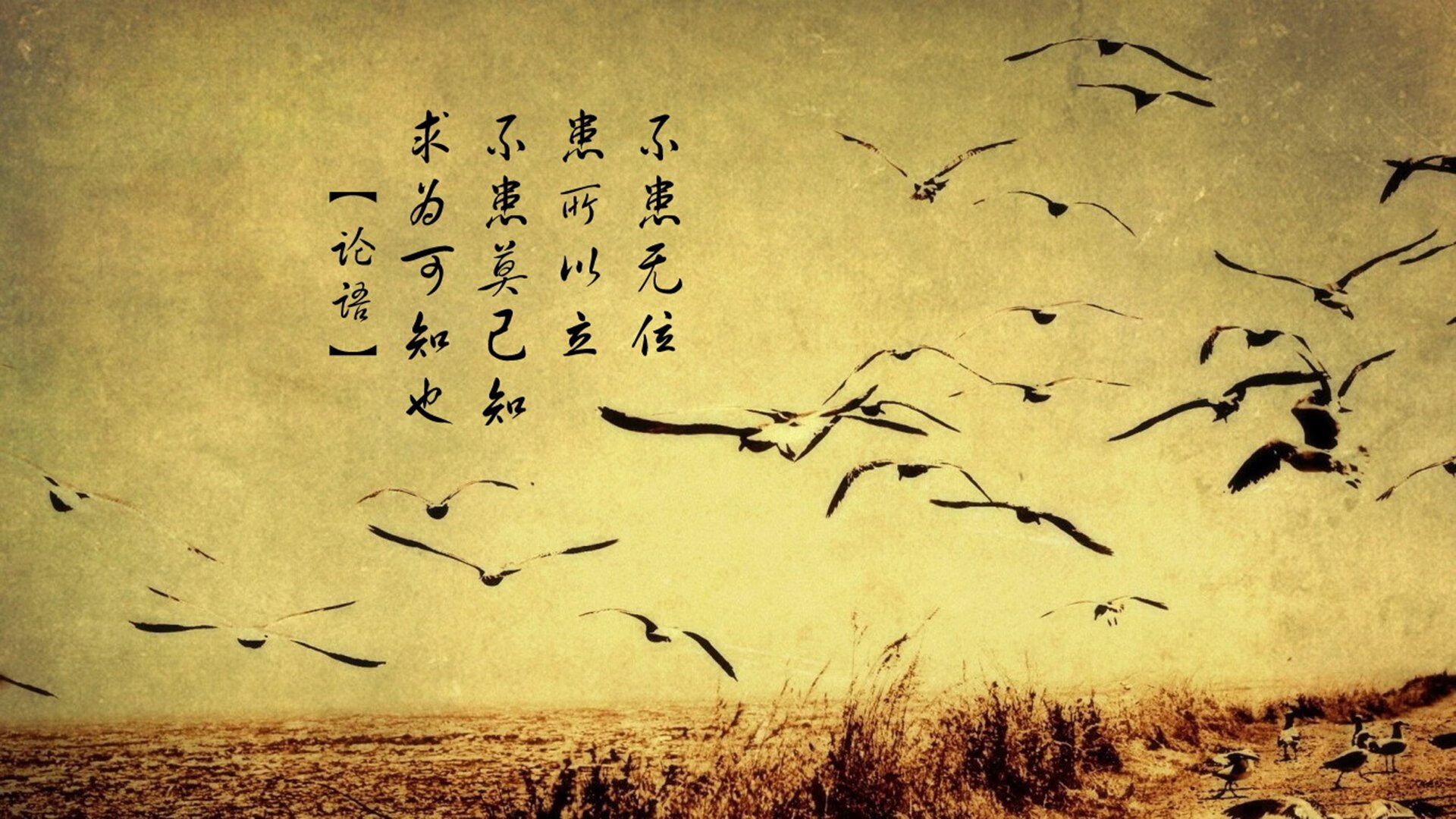 王者之盾与斗牛士之剑,2026世界杯出线战,库尔图瓦铸就西班牙的控球统治