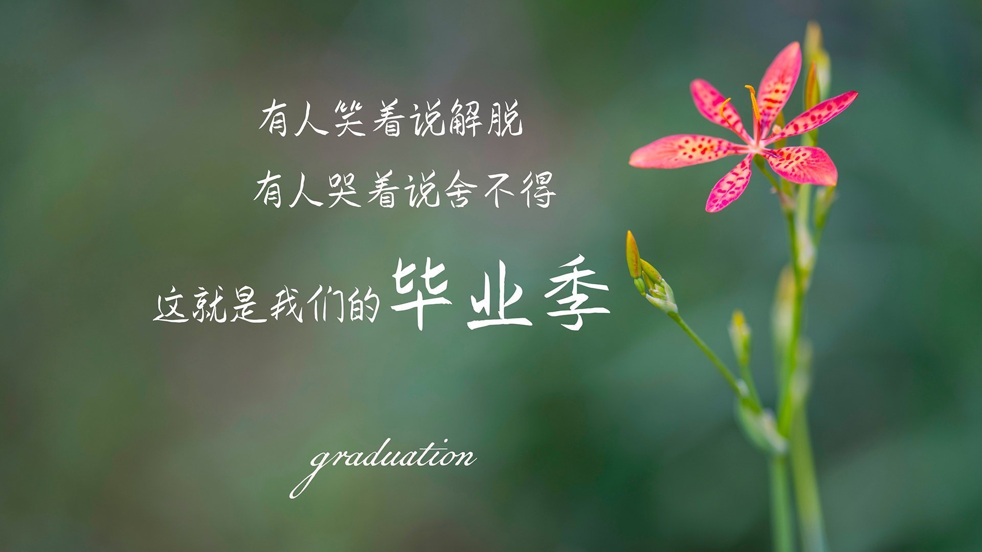 星条旗燃爆布拉迪斯拉发,美国完胜斯洛伐克,加维引领唯一时刻