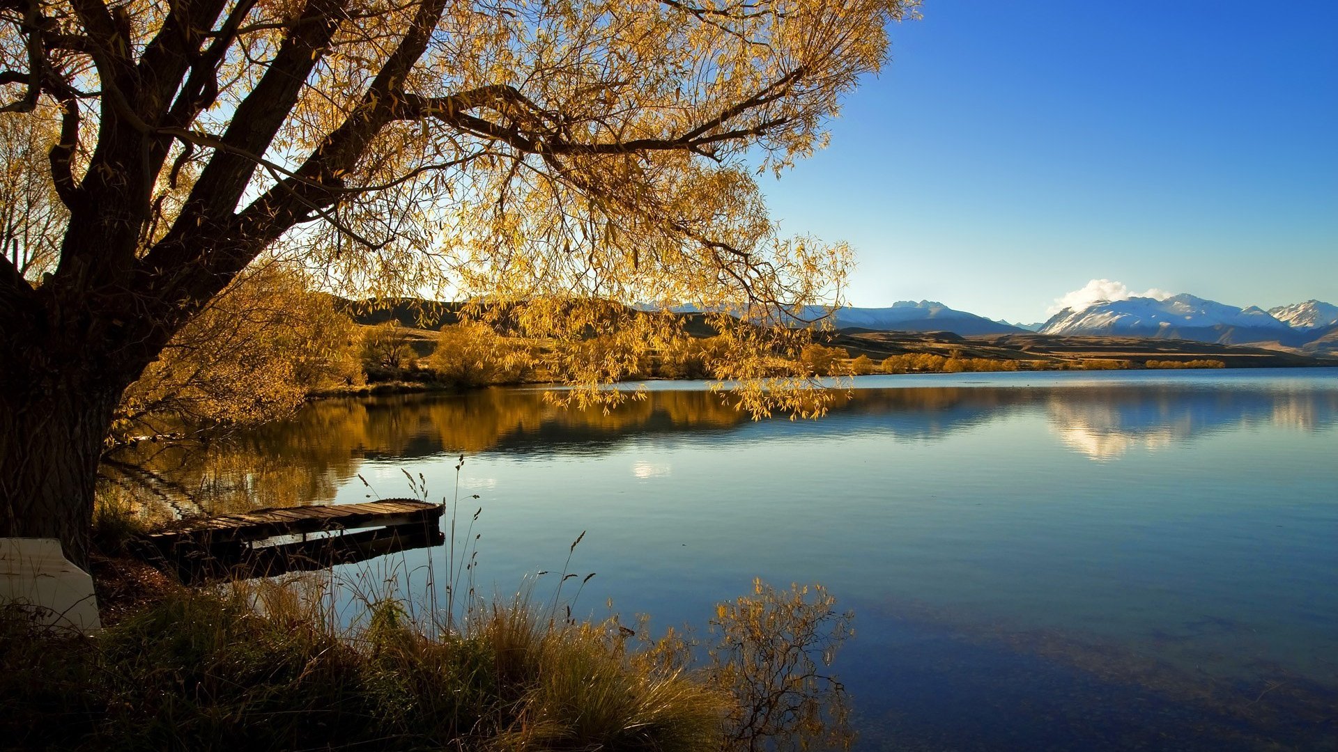 撕裂小组赛的暴力美学，努涅斯三刀封喉，喀麦隆用碾压宣告世界杯新秩序