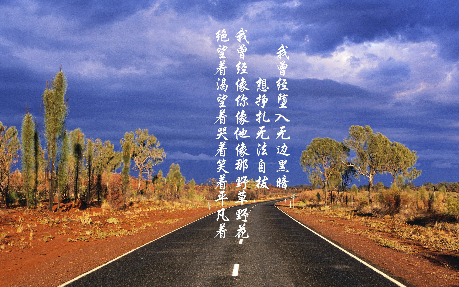 里斯本之夜，哈兰德点亮中轴，2026世界杯D组，葡萄牙以绝对控制粉碎罗马尼亚