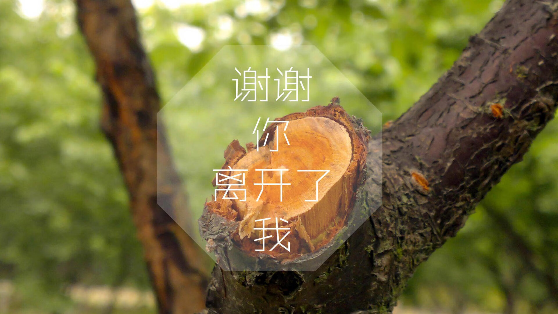 布达佩斯之夜，莱万如神兵天降，匈牙利横扫喀麦隆，C组唯一王座已无悬念